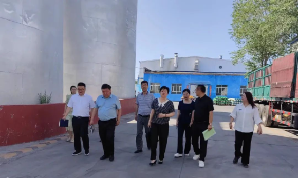 提信心 促發(fā)展|奎屯市副市長、伊犁州科技局局長、奎屯市科技局局長一行調(diào)研金雪馳奎屯工廠